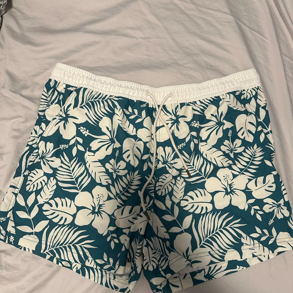American Eagle Outfitters Teal Floral 5.5 trunk above the knee swim trunks